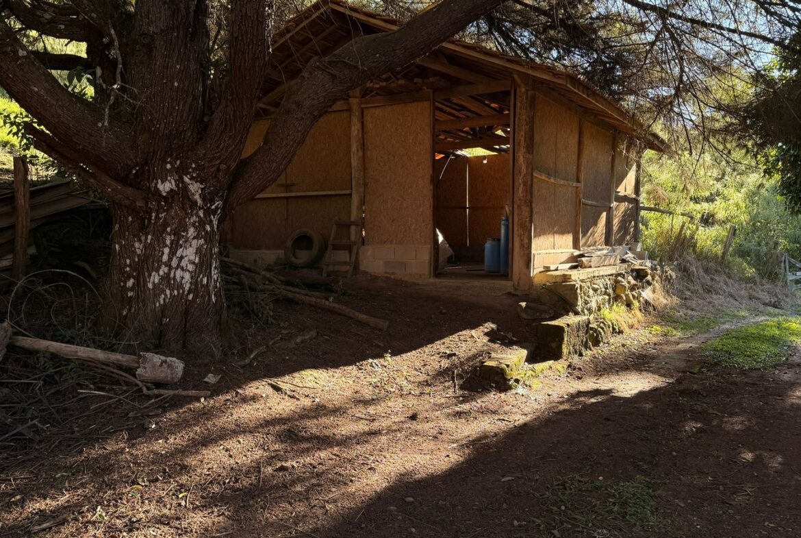 Sítio Rural à Venda em Córrego do Bom Jesus MG – 38.000 m²