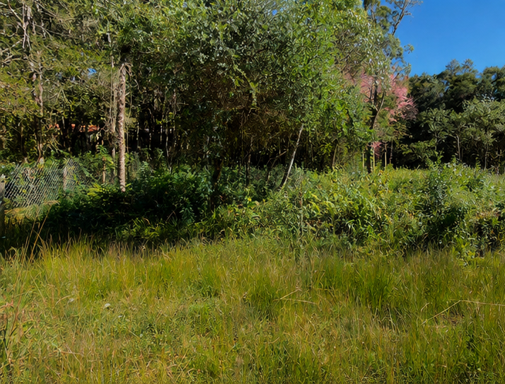 Terreno À Venda em Monte Verde – Excelente localização!