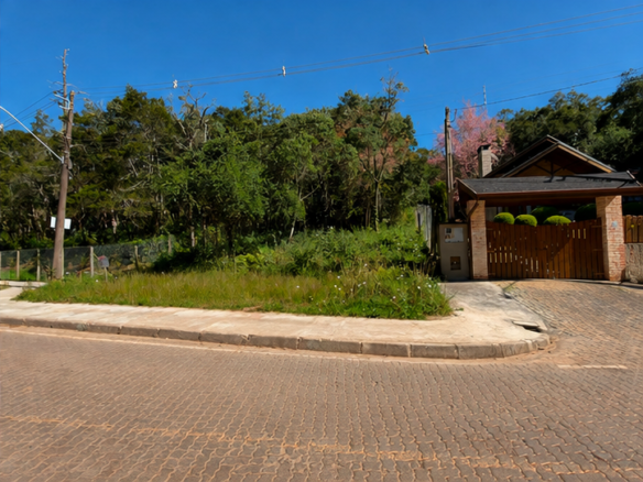 Terreno À Venda em Monte Verde – Excelente localização!