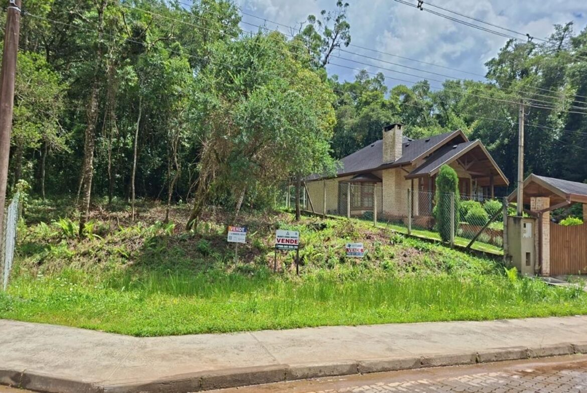Terreno À Venda em Monte Verde – Excelente localização!
