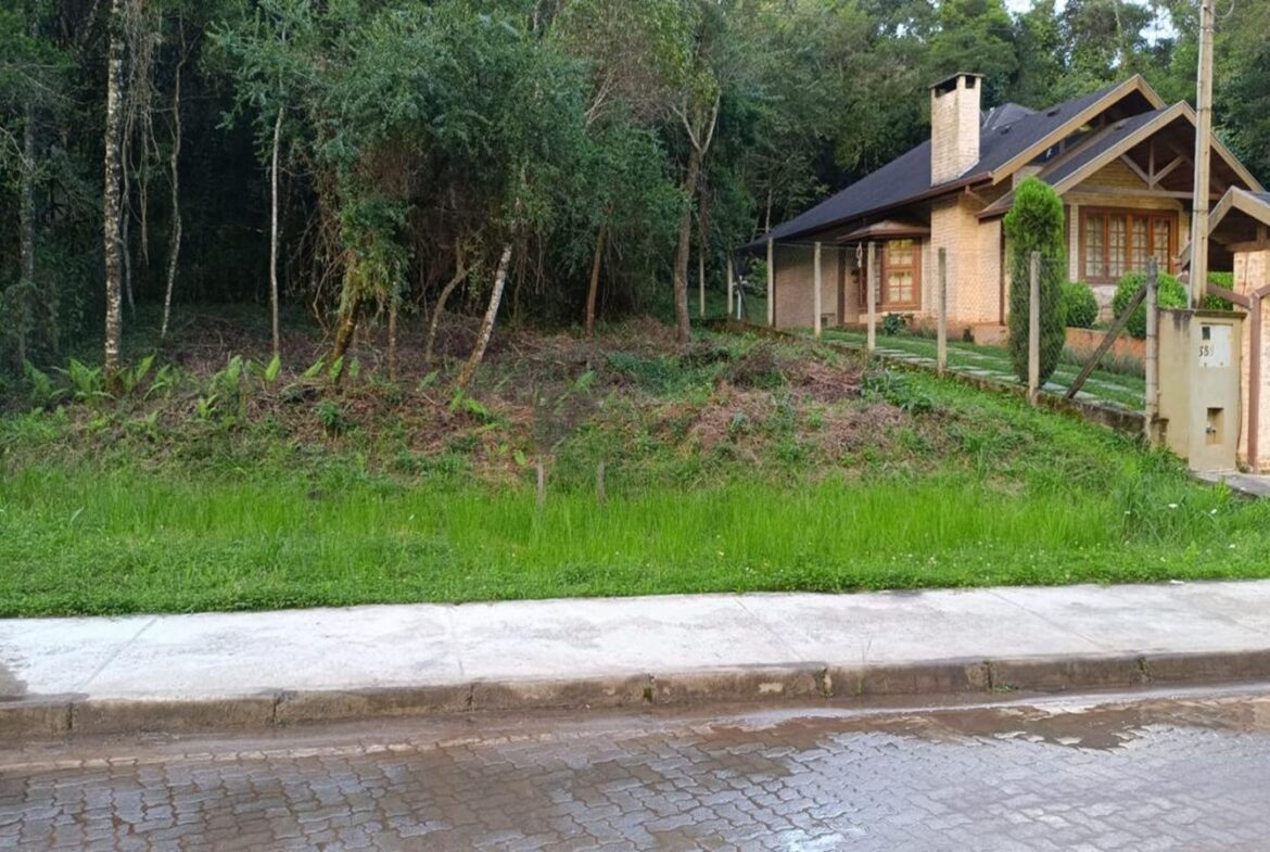 Terreno À Venda em Monte Verde – Excelente localização!