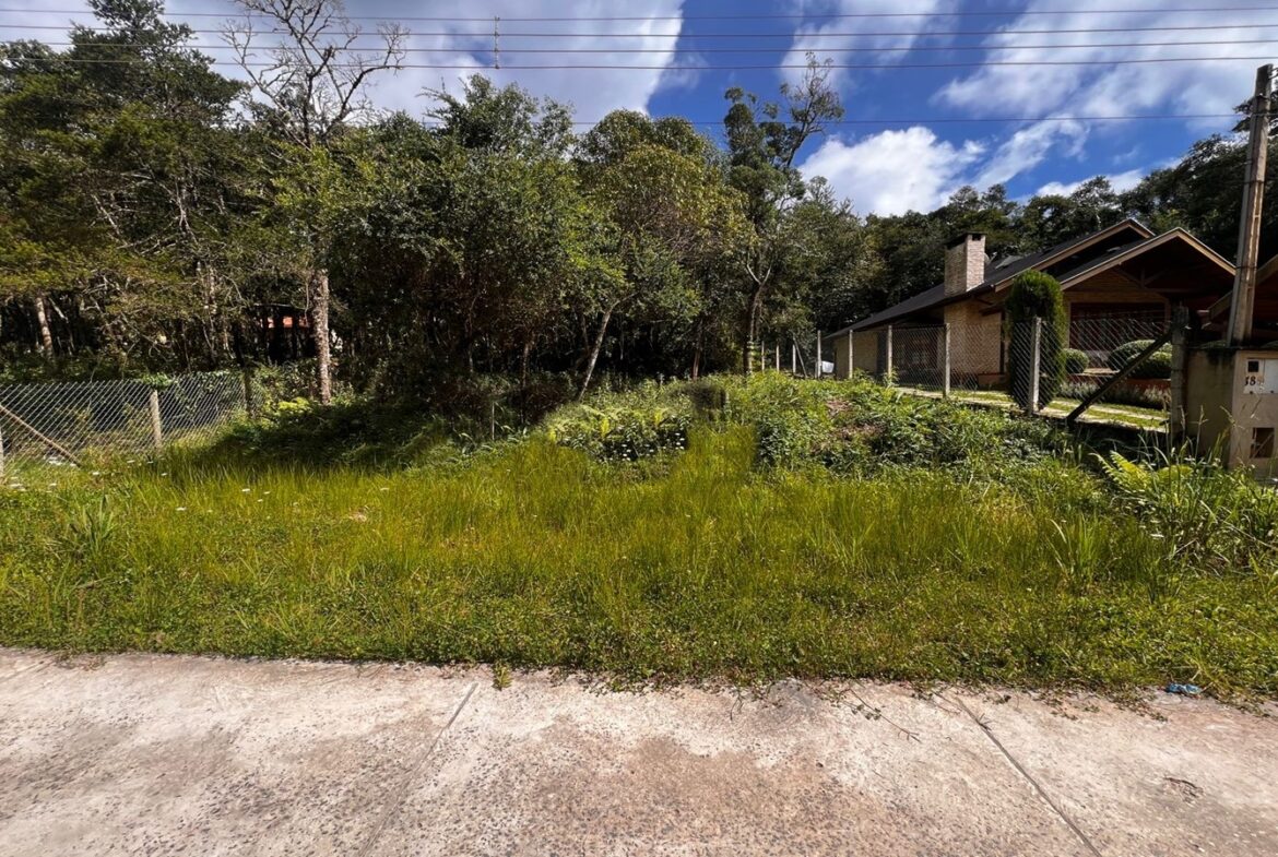 Terreno À Venda em Monte Verde – Excelente localização!