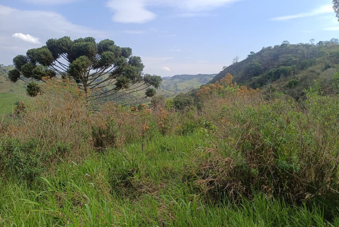 Imagem 01 do terreno à venda em Cambuí/MG — cód. 2550