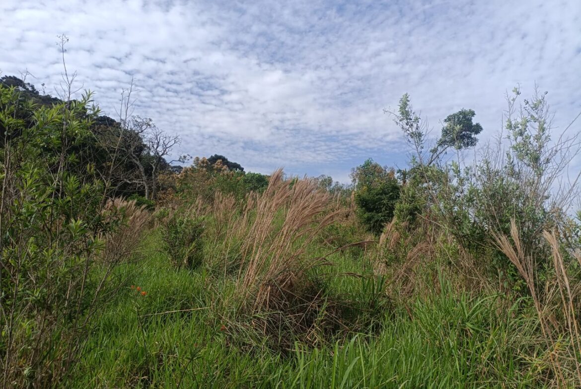 Imagem 04 do terreno à venda em Cambuí/MG — cód. 2550