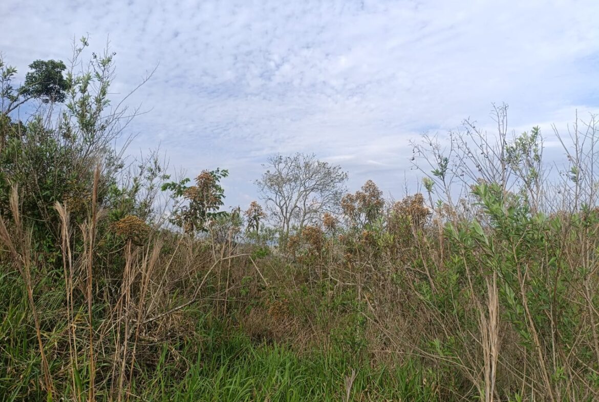 Imagem 05 do terreno à venda em Cambuí/MG — cód. 2550