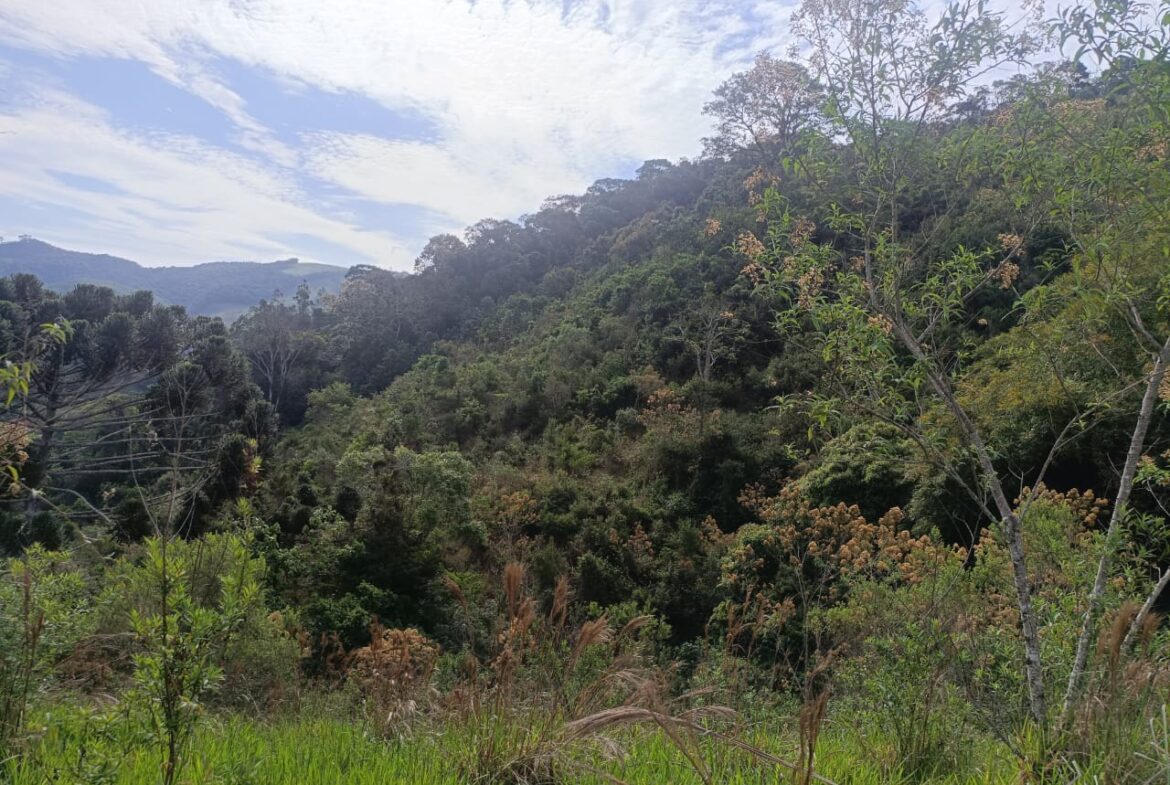 Imagem 06 do terreno à venda em Cambuí/MG — cód. 2550