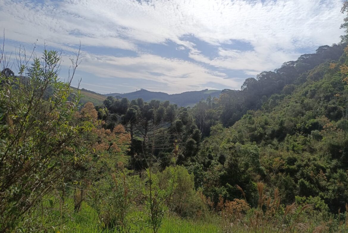 Imagem 07 do terreno à venda em Cambuí/MG — cód. 2550