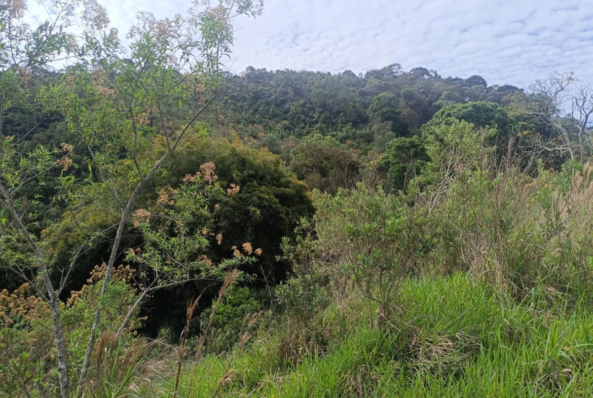 Imagem 08 do terreno à venda em Cambuí/MG — cód. 2550