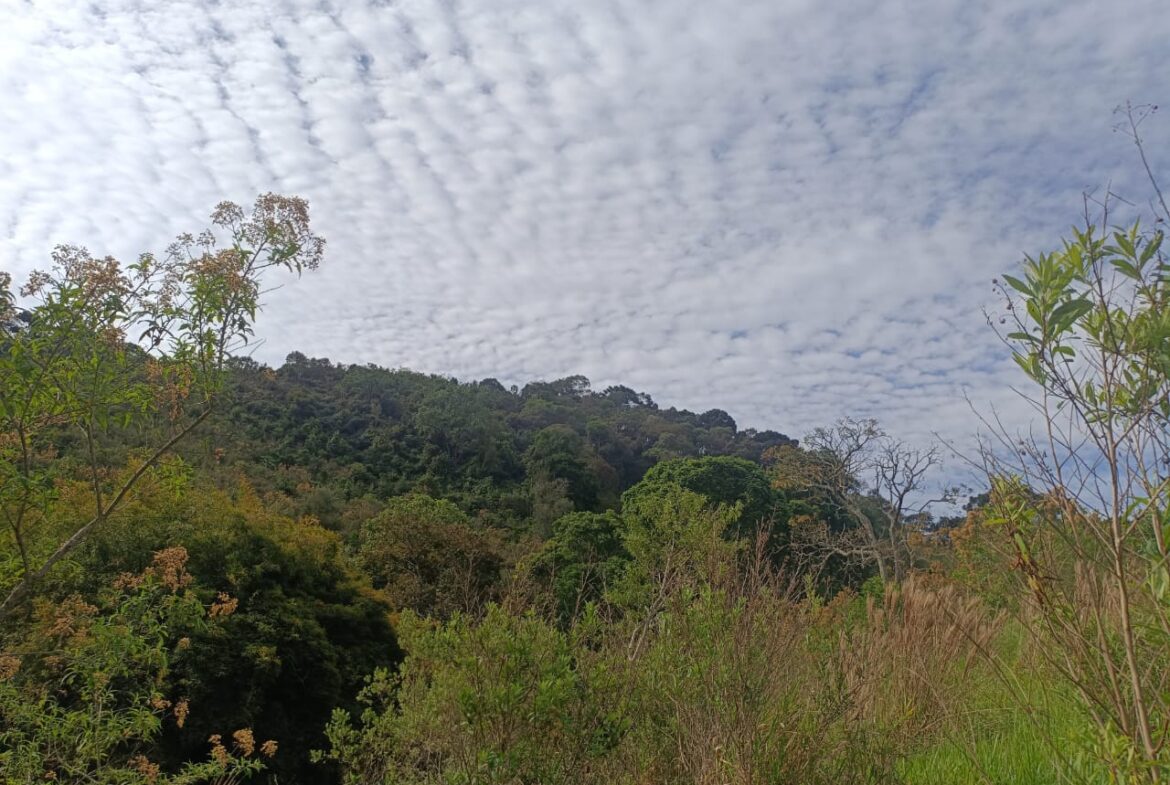 Imagem 10 do terreno à venda em Cambuí/MG — cód. 2550