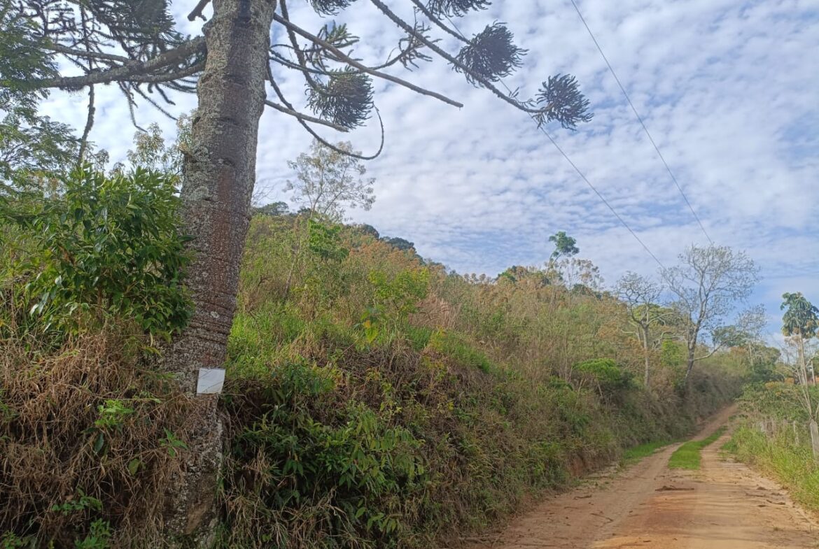Imagem 12 do terreno à venda em Cambuí/MG — cód. 2550