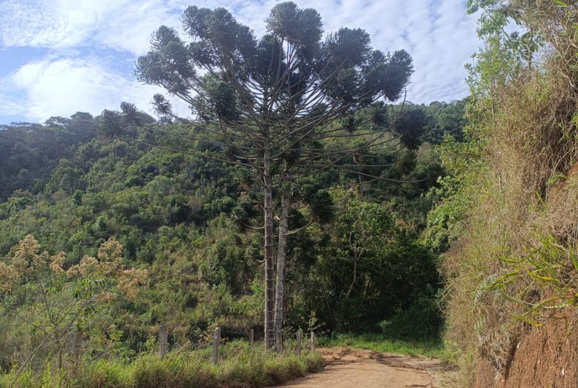 Imagem 13 do terreno à venda em Cambuí/MG — cód. 2550
