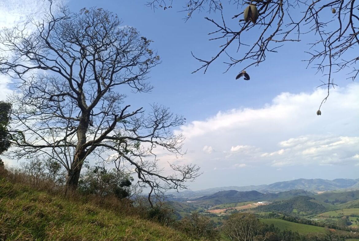 Imagem 06 do terreno à venda em Cambuí/MG — cód. 2552