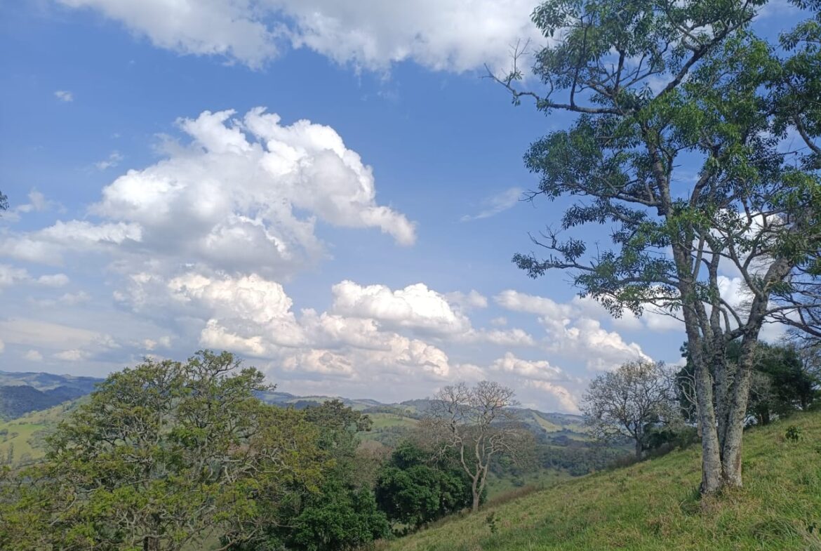 Imagem 10 do terreno à venda em Cambuí/MG — cód. 2552