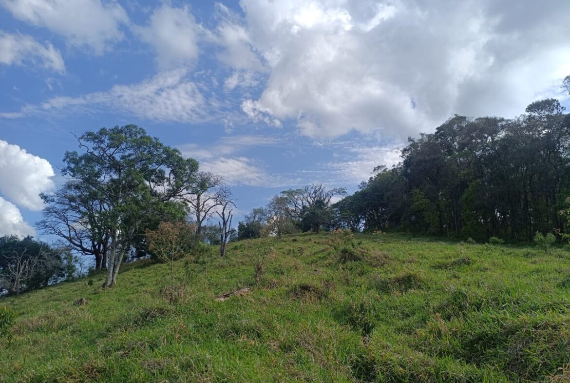 Imagem 12 do terreno à venda em Cambuí/MG — cód. 2552