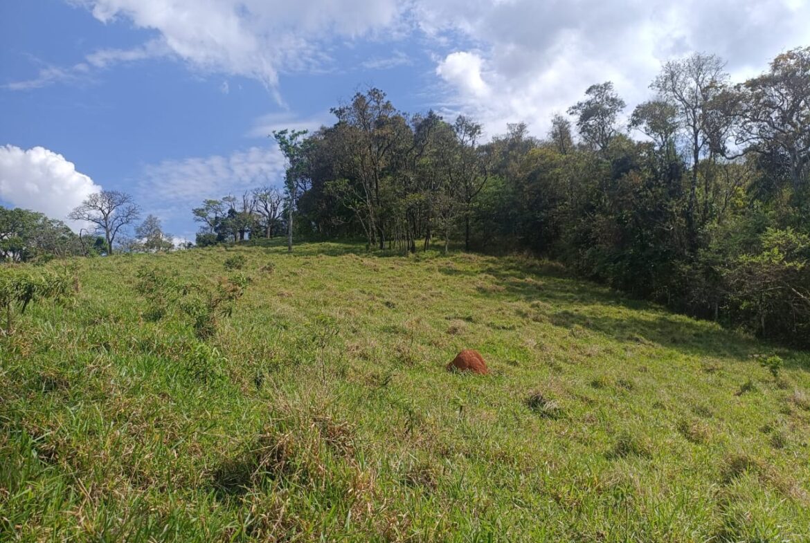 Imagem 15 do terreno à venda em Cambuí/MG — cód. 2552