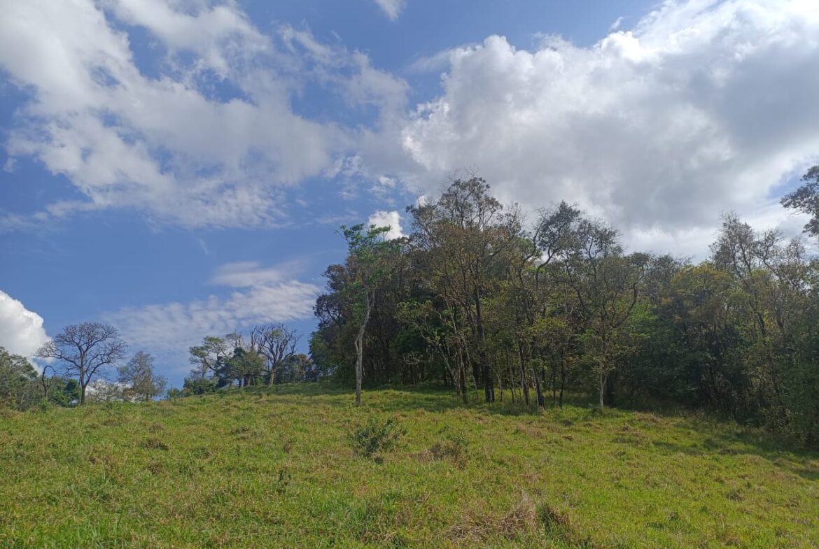 Imagem 16 do terreno à venda em Cambuí/MG — cód. 2552