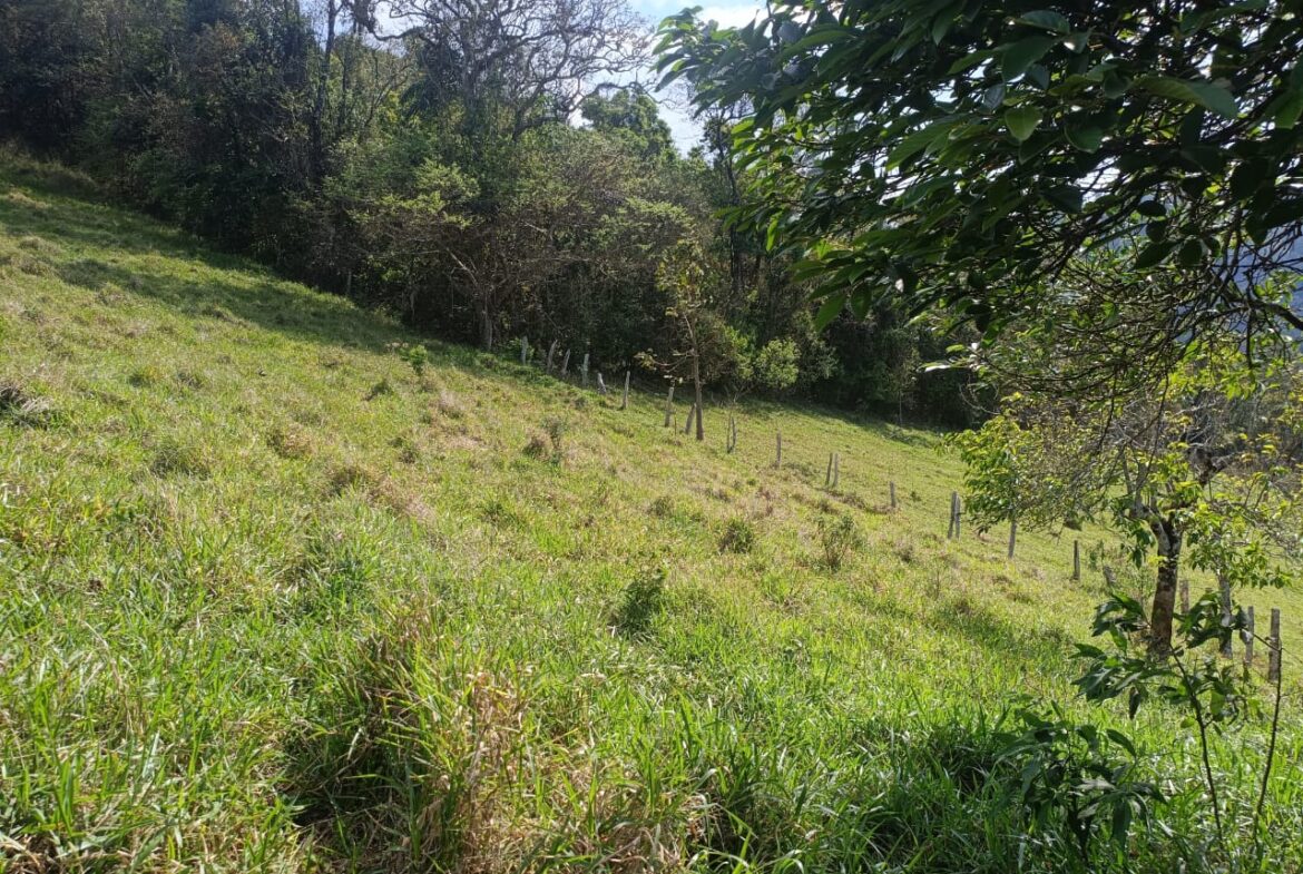 Imagem 18 do terreno à venda em Cambuí/MG — cód. 2552