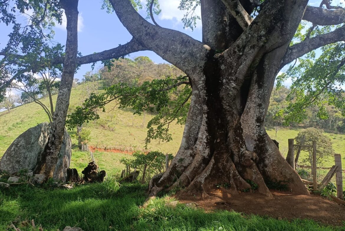 Imagem 21 do terreno à venda em Cambuí/MG — cód. 2552