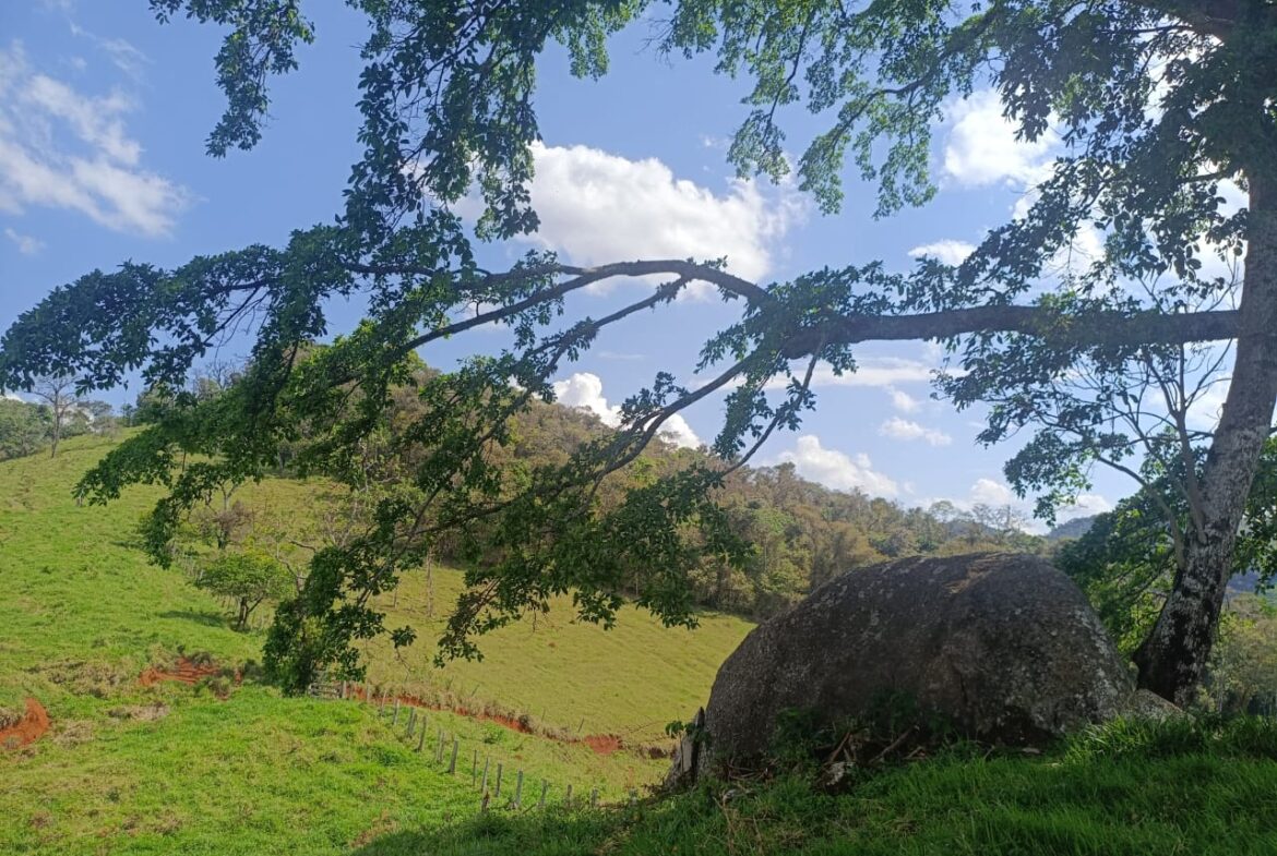 Imagem 23 do terreno à venda em Cambuí/MG — cód. 2552