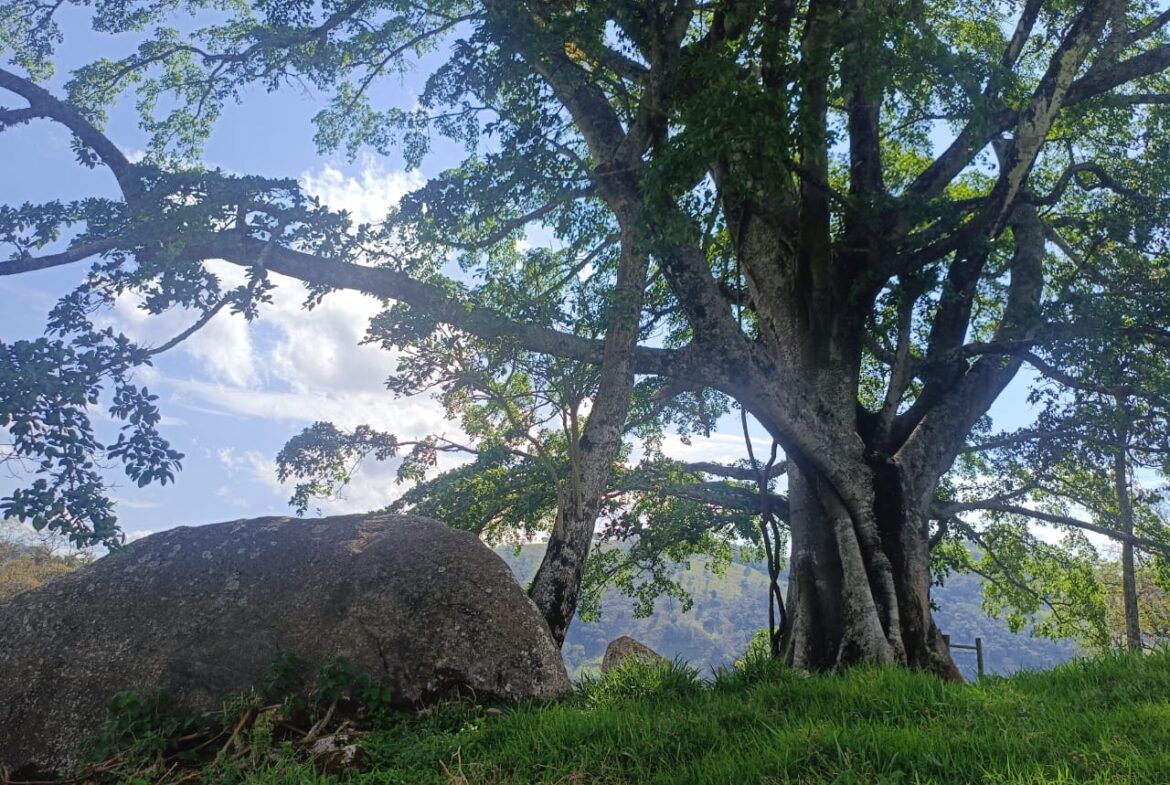 Imagem 27 do terreno à venda em Cambuí/MG — cód. 2552