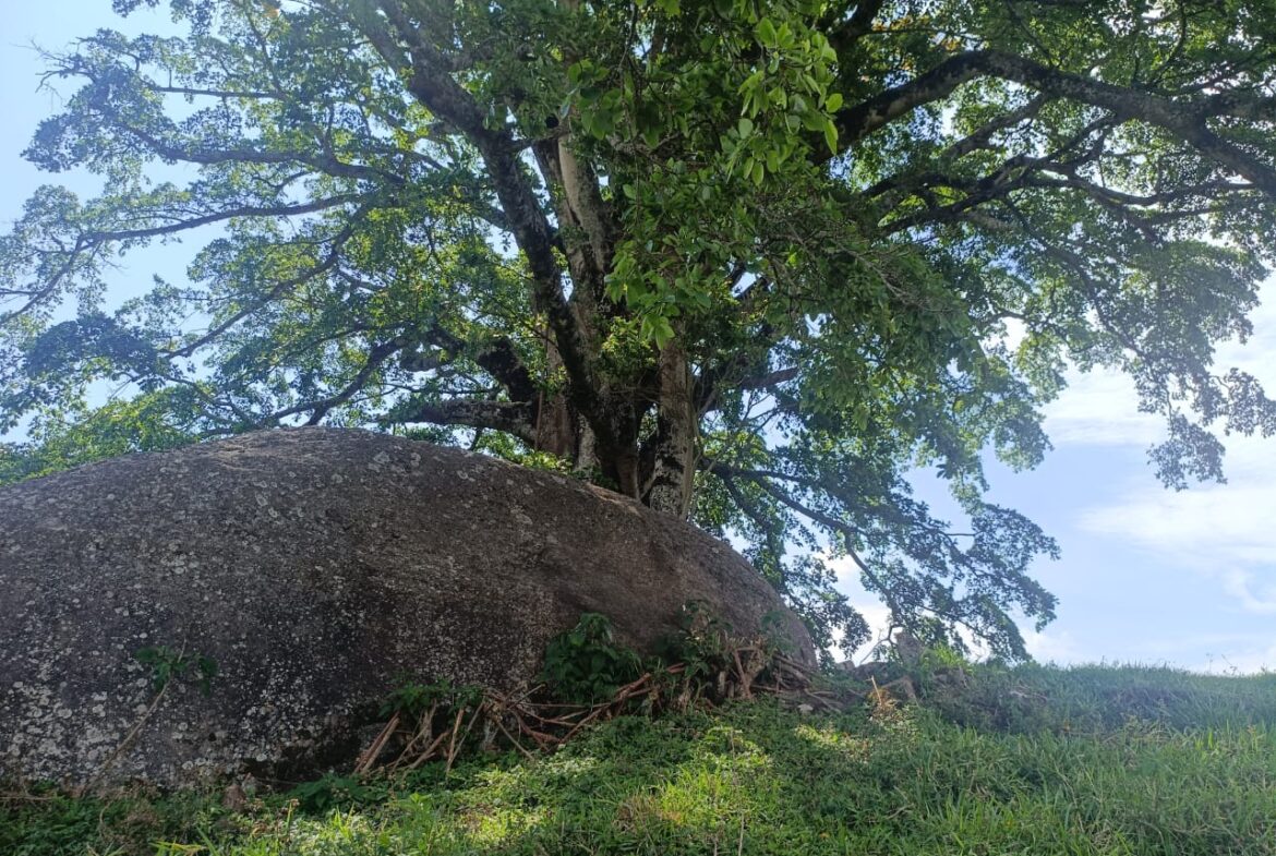 Imagem 30 do terreno à venda em Cambuí/MG — cód. 2552