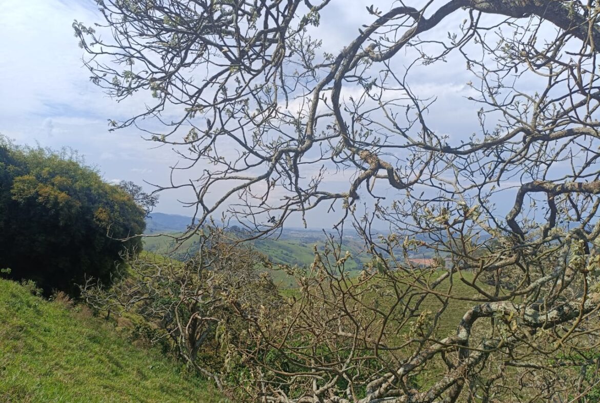 Imagem 31 do terreno à venda em Cambuí/MG — cód. 2552