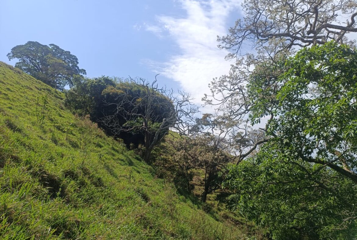 Imagem 33 do terreno à venda em Cambuí/MG — cód. 2552
