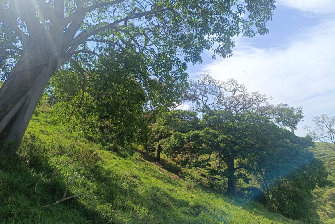 Imagem 35 do terreno à venda em Cambuí/MG — cód. 2552