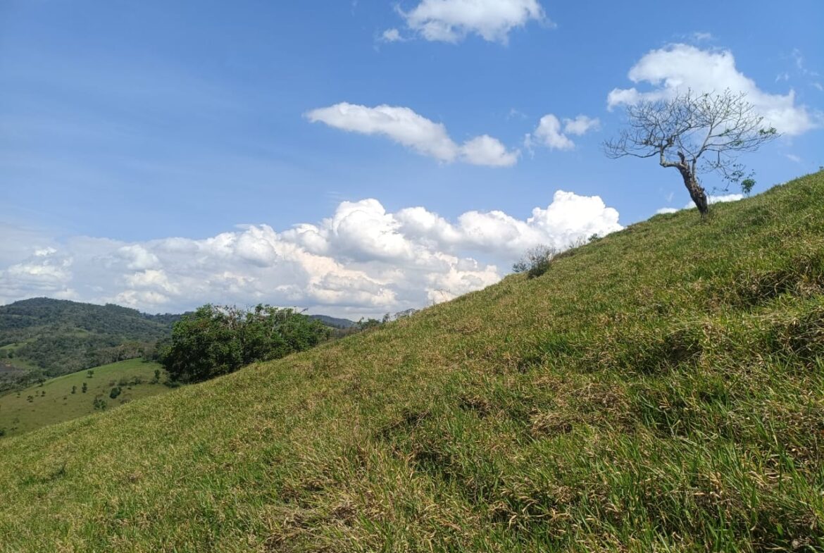 Imagem 36 do terreno à venda em Cambuí/MG — cód. 2552