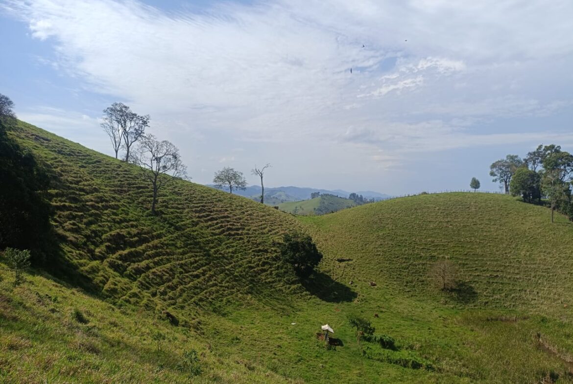 Imagem 37 do terreno à venda em Cambuí/MG — cód. 2552