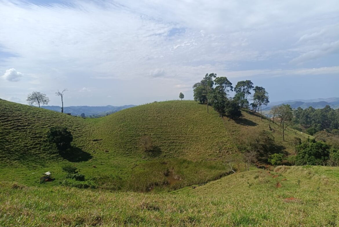 Imagem 39 do terreno à venda em Cambuí/MG — cód. 2552