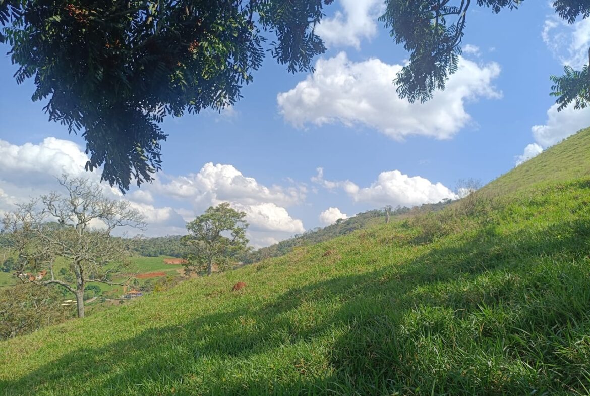 Imagem 41 do terreno à venda em Cambuí/MG — cód. 2552