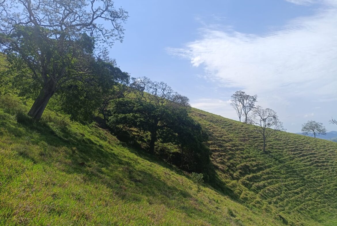 Imagem 42 do terreno à venda em Cambuí/MG — cód. 2552