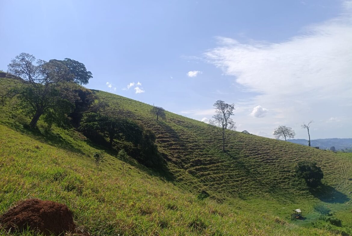 Imagem 43 do terreno à venda em Cambuí/MG — cód. 2552