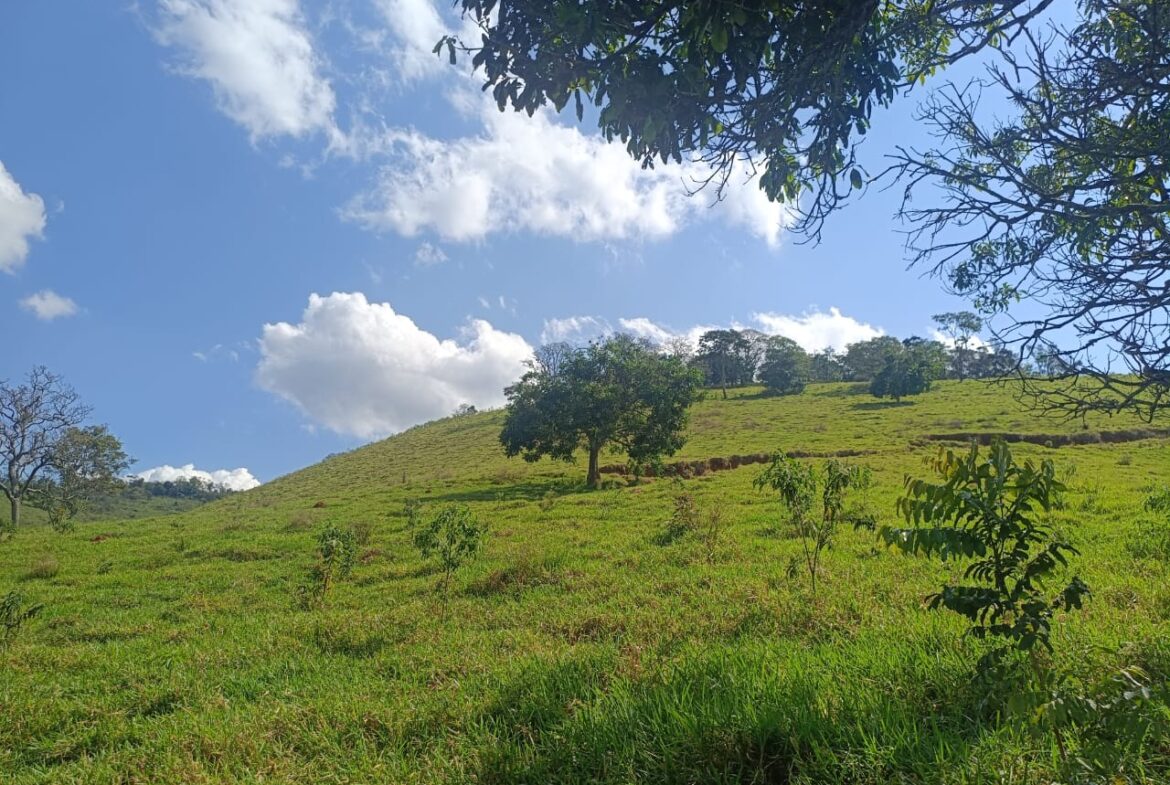 Imagem 44 do terreno à venda em Cambuí/MG — cód. 2552