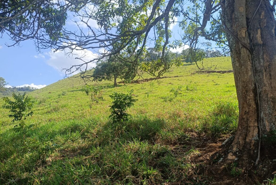 Imagem 45 do terreno à venda em Cambuí/MG — cód. 2552