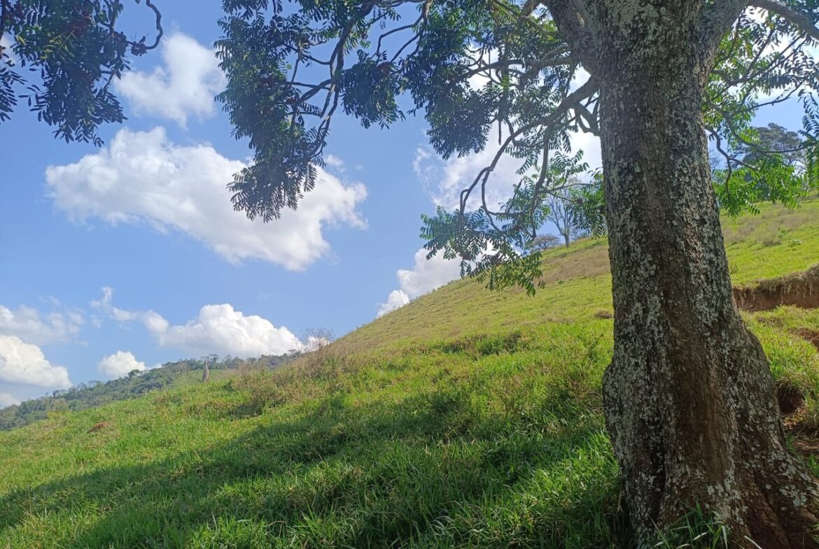 Imagem 46 do terreno à venda em Cambuí/MG — cód. 2552