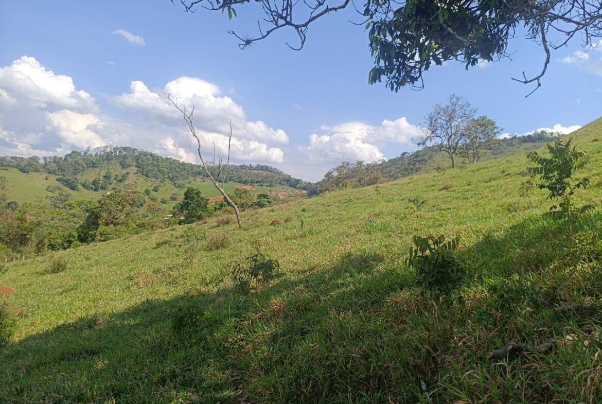 Imagem 47 do terreno à venda em Cambuí/MG — cód. 2552