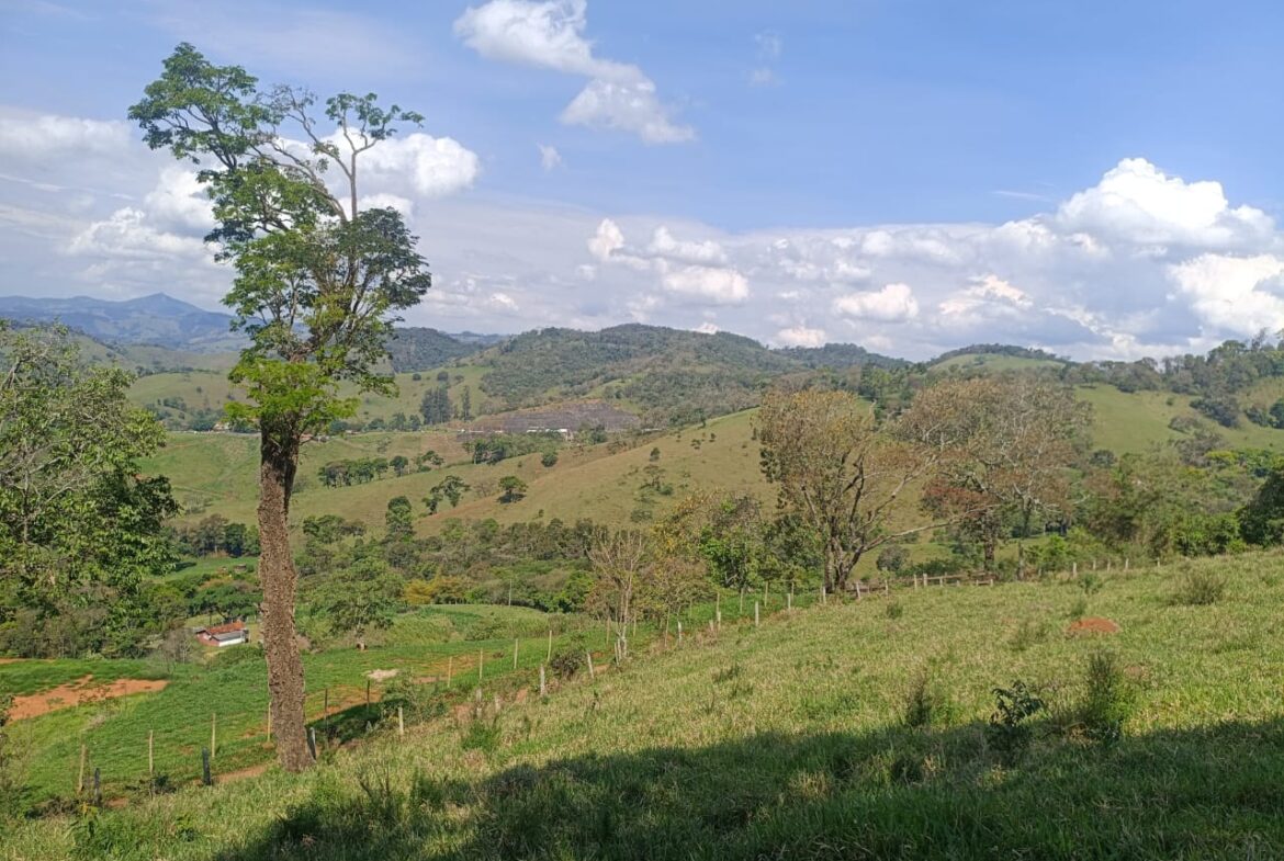 Imagem 49 do terreno à venda em Cambuí/MG — cód. 2552