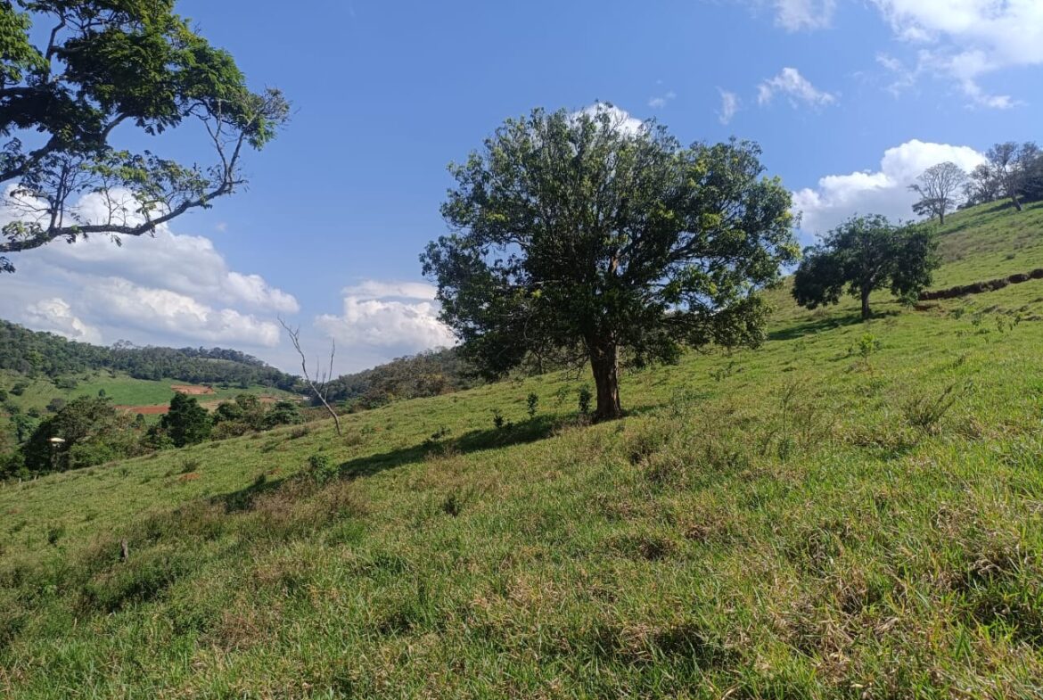 Imagem 50 do terreno à venda em Cambuí/MG — cód. 2552