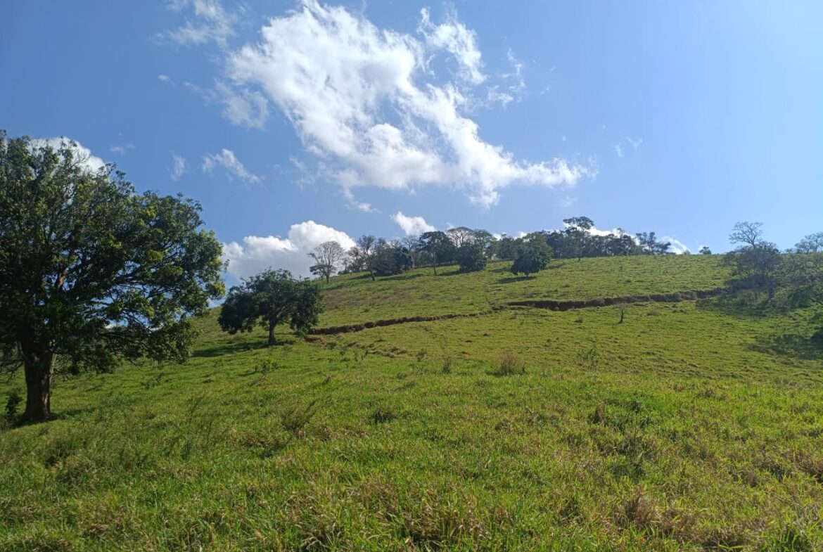 Imagem 51 do terreno à venda em Cambuí/MG — cód. 2552