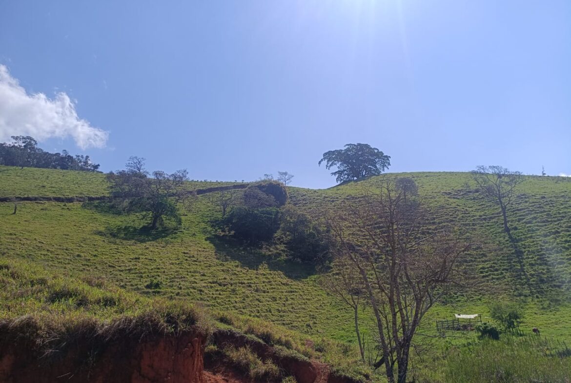 Imagem 52 do terreno à venda em Cambuí/MG — cód. 2552