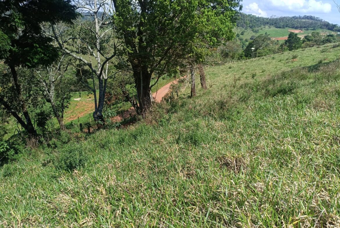 Imagem 53 do terreno à venda em Cambuí/MG — cód. 2552