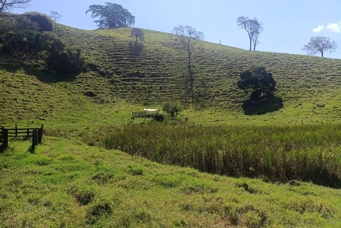 Imagem 54 do terreno à venda em Cambuí/MG — cód. 2552