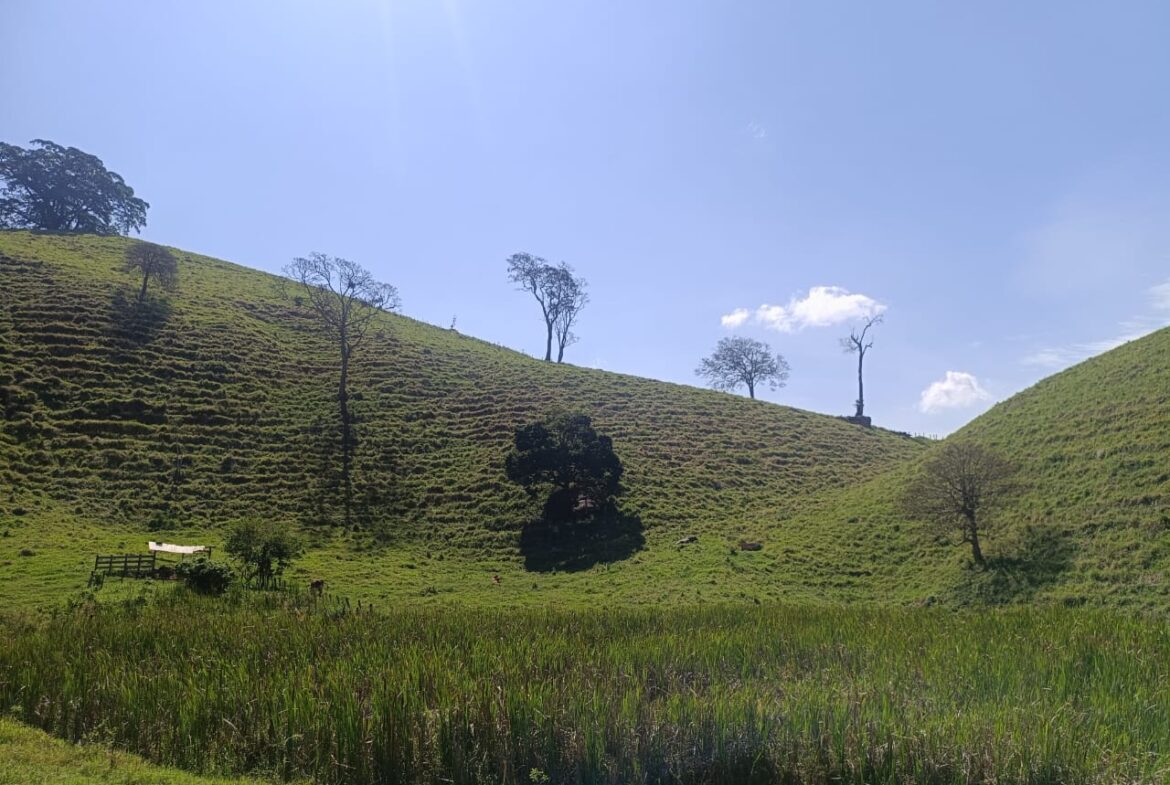 Imagem 55 do terreno à venda em Cambuí/MG — cód. 2552