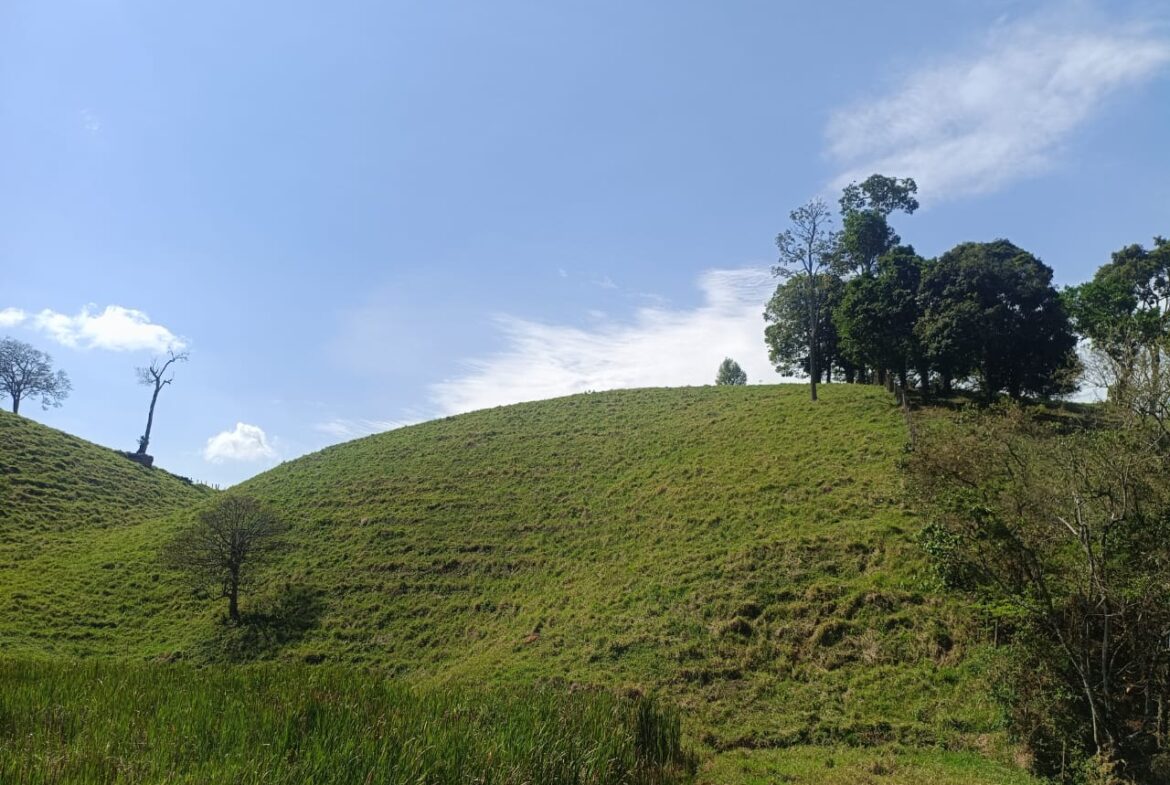 Imagem 58 do terreno à venda em Cambuí/MG — cód. 2552