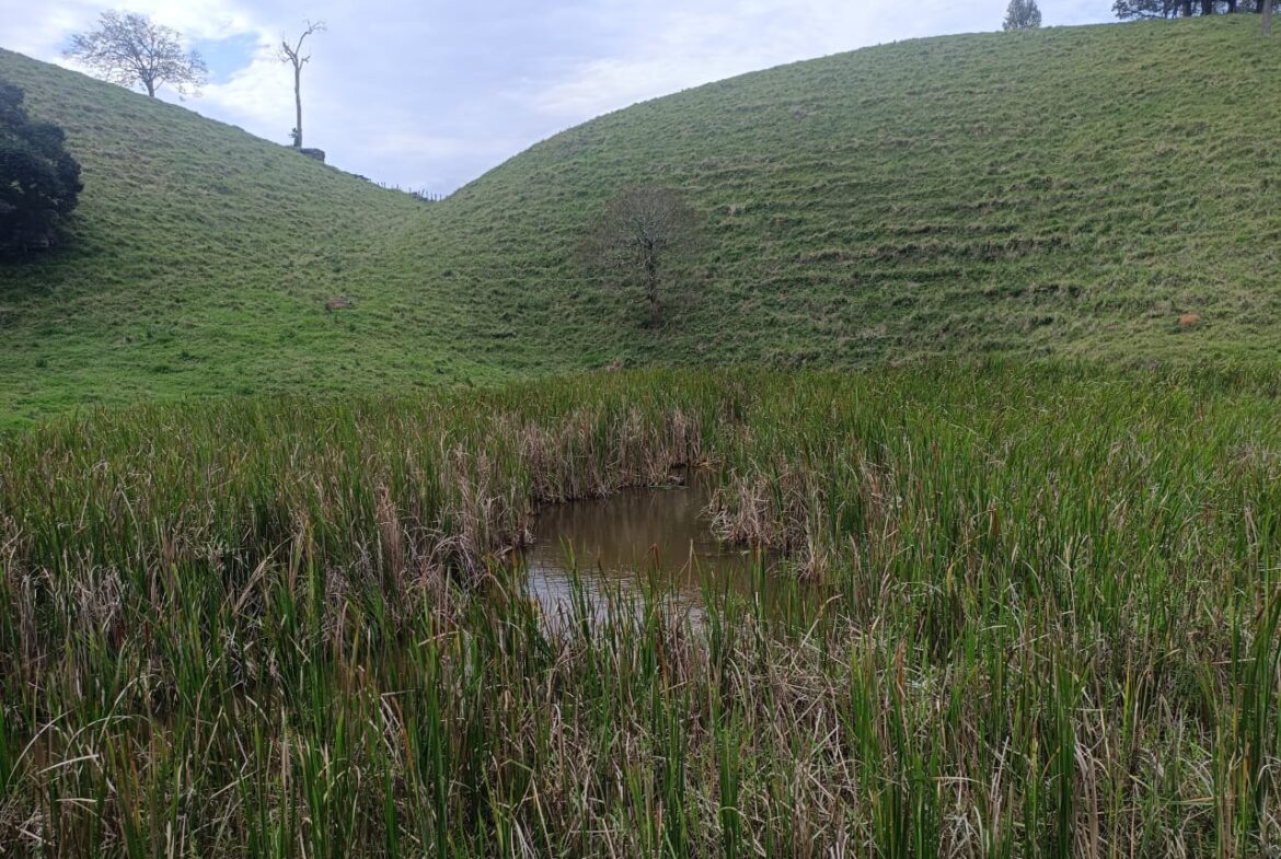 Imagem 59 do terreno à venda em Cambuí/MG — cód. 2552