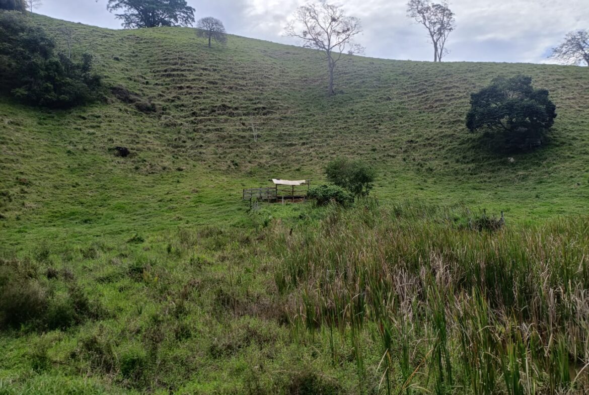 Imagem 60 do terreno à venda em Cambuí/MG — cód. 2552