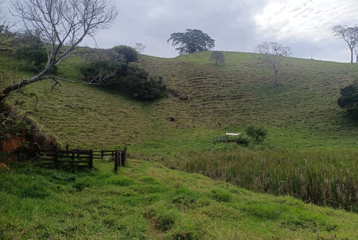 Imagem 61 do terreno à venda em Cambuí/MG — cód. 2552