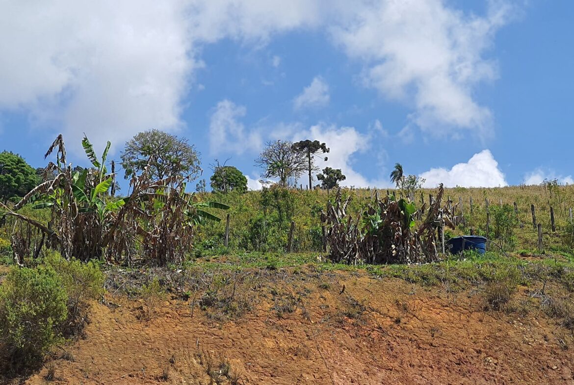 Imagem 39 do sítio à venda em Itapeva/MG — cód. 2554